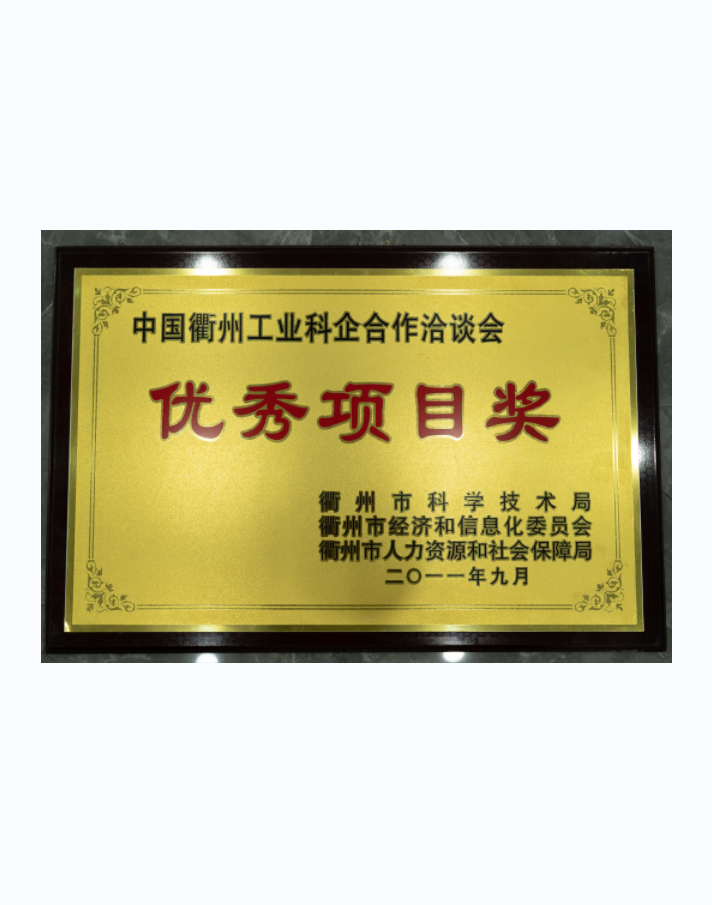 優(yōu)秀項目獎