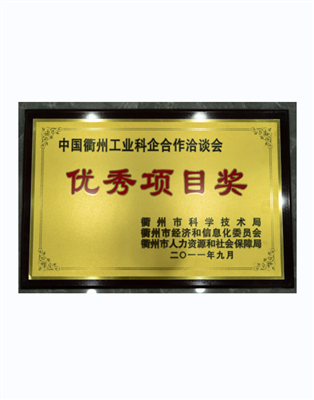 優(yōu)秀項目獎